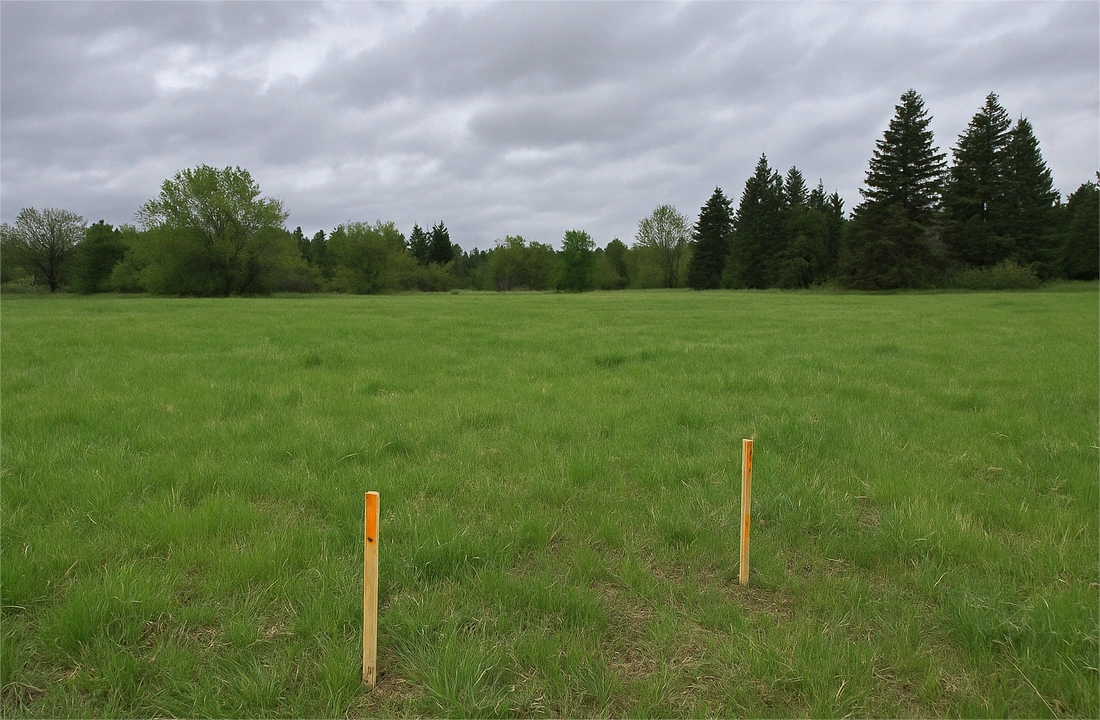 Idaho land parcel records for Idaho Land Buyers: What Sellers Should Know